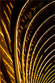 abstract foto -Hotel Intercontinental Bucuresti